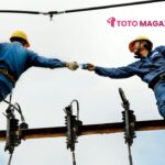Electrician Software
