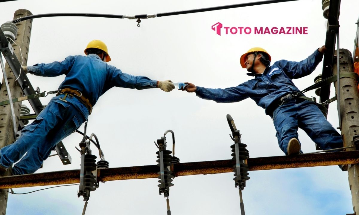 Electrician Software