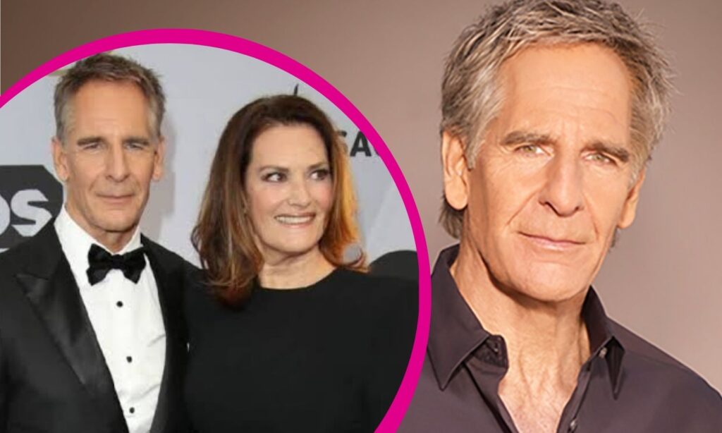 wil bakula